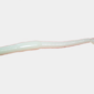 4inch-worm-white-lg