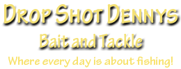 The Drop Shot Denny logo1 home page link